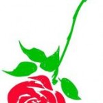 upsidedownrose-150x150